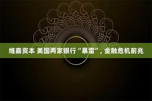 维嘉资本 美国两家银行“暴雷”, 金融危机前兆