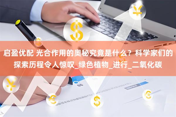启盈优配 光合作用的奥秘究竟是什么？科学家们的探索历程令人惊叹_绿色植物_进行_二氧化碳