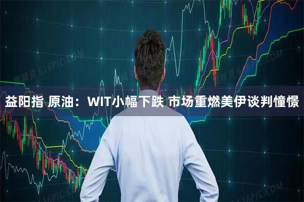 益阳指 原油：WIT小幅下跌 市场重燃美伊谈判憧憬